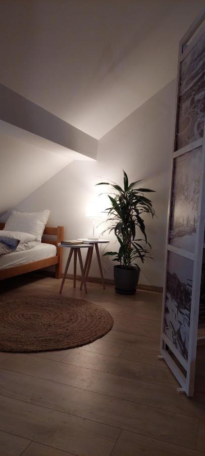 House 11 Lägenhet Nikšić Exteriör bild